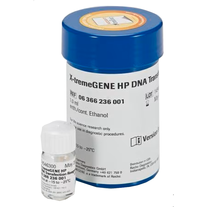 Transfection Reagents